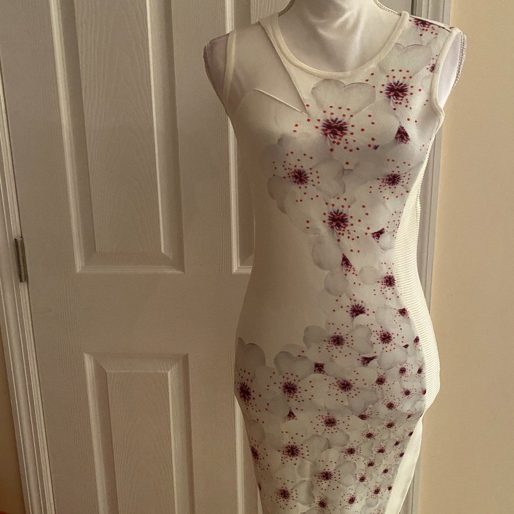 Elegant Brand new Waggon Paris dress